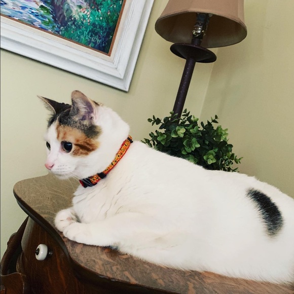 Meet your Posher Jieun~ - Picture 2 of 8